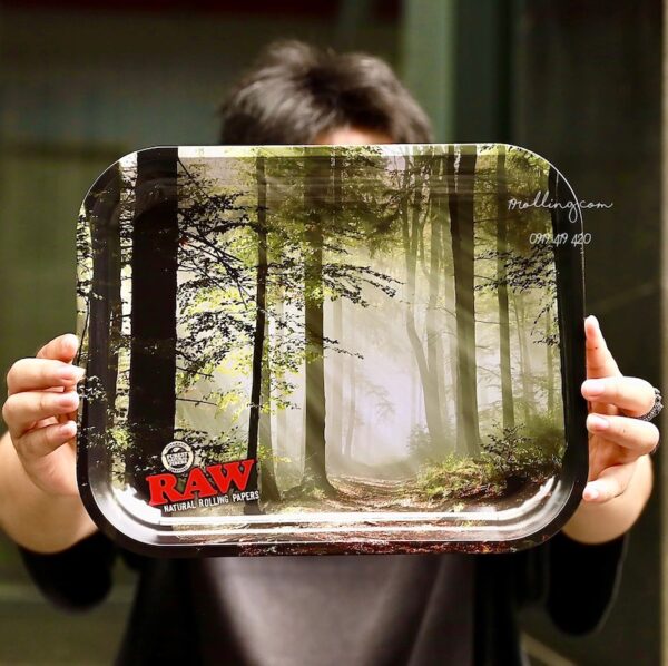 tray-raw-forest