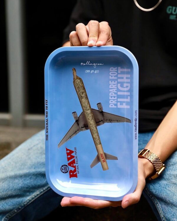 tray-raw-may-bay