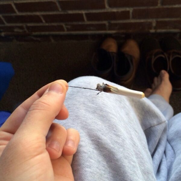 78MM-Randy's-King-Classic-Wired-Papers