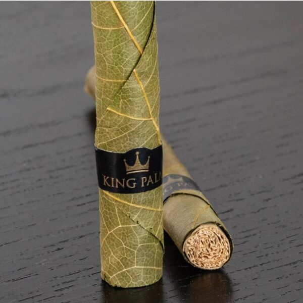 king-palm-viet-quat